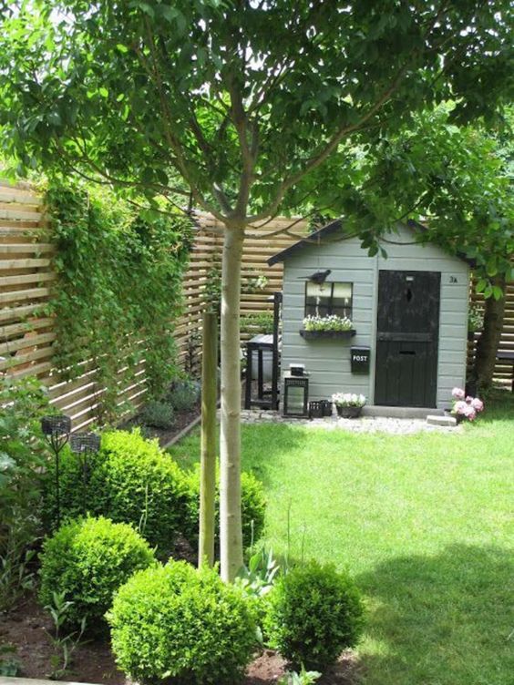 Tuinhuisje en boom in tuin